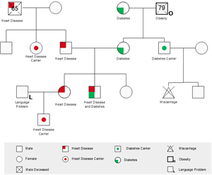 Medical Genogram Template
