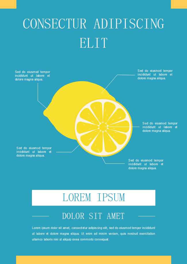 Lemon Flyer