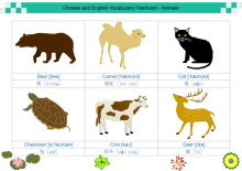 Drawing Shapes Worksheet