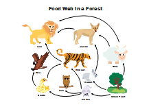 TCM Diagram