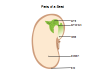 TCM Diagram