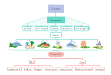 Tourism Mind Map 